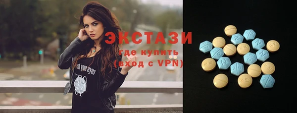 гашик Верея