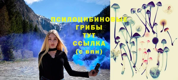 Альфа ПВП Ростов